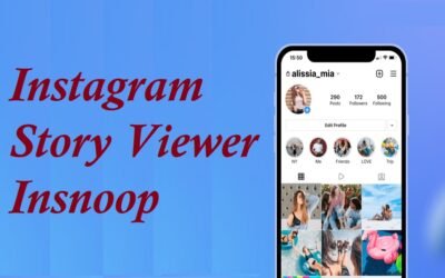 Instagram Story Viewer Insnoop