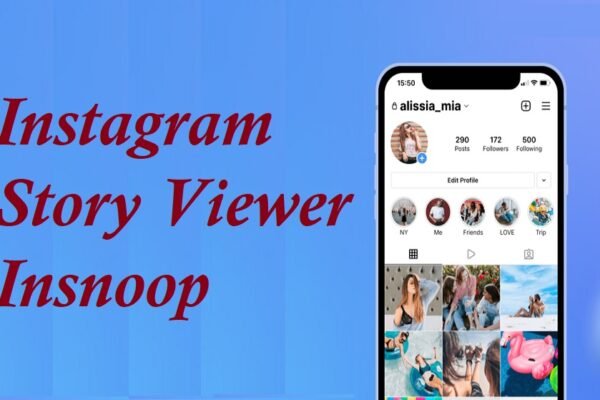 Instagram Story Viewer Insnoop