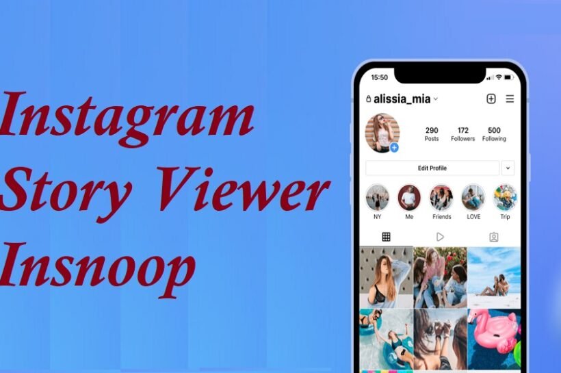 Instagram Story Viewer Insnoop