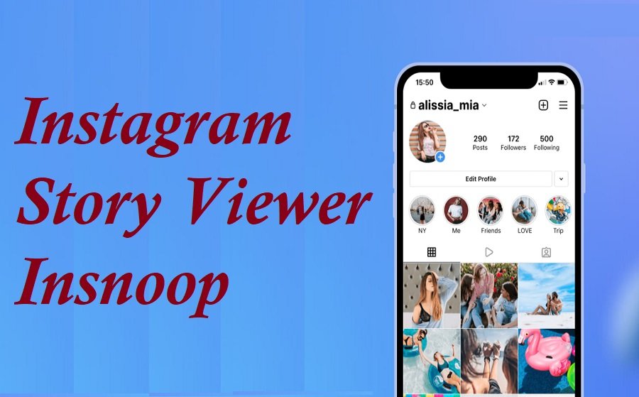 Instagram Story Viewer Insnoop