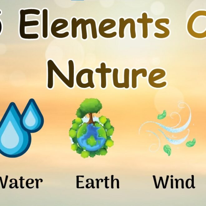 5 Elements of Nature: Meaning, Importance, and Symbolism Explained